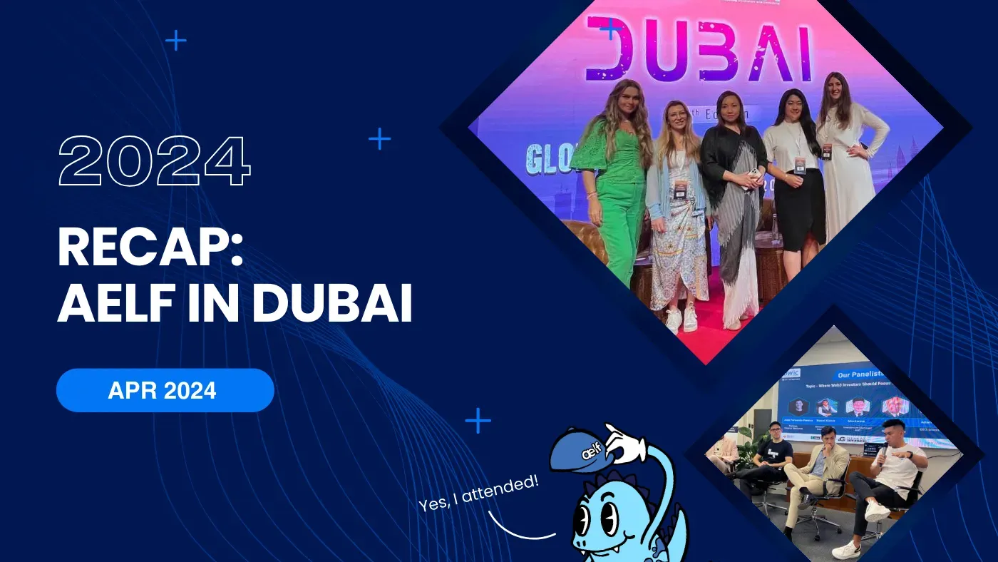 Recap: aelf in Dubai 2024