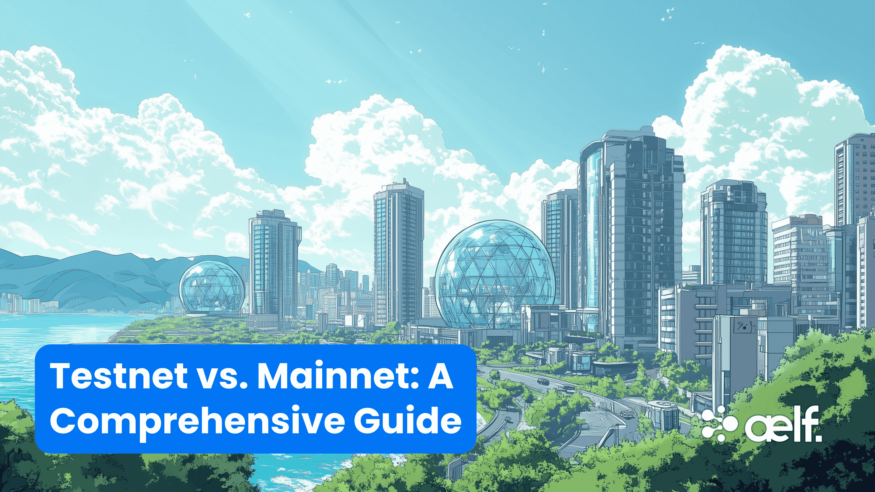 Testnet vs Mainnet