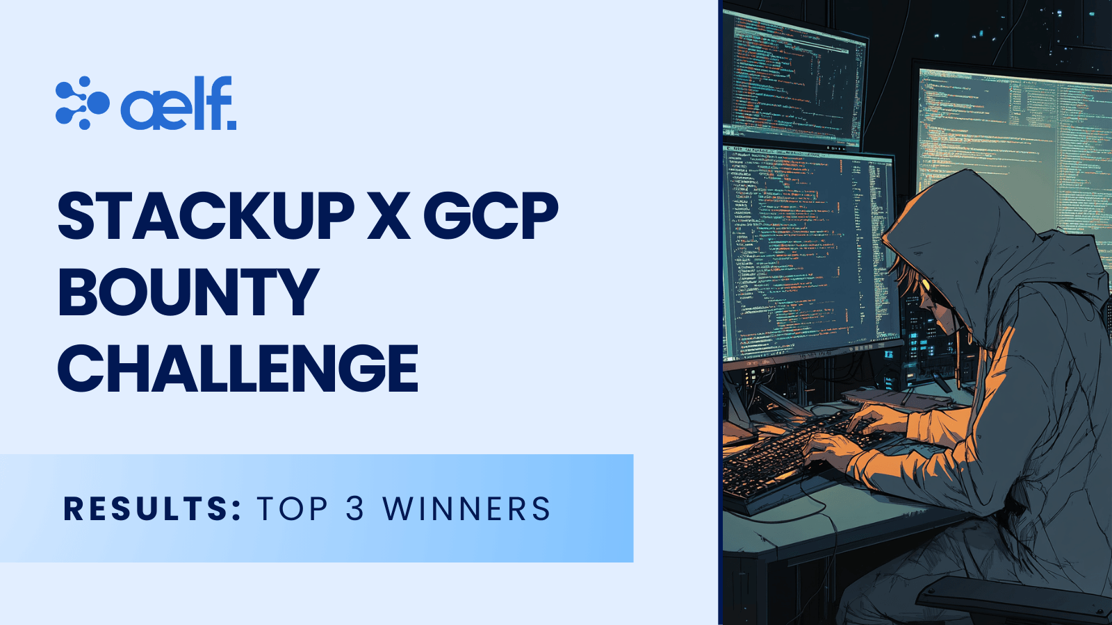 Bounty Challenge Winners