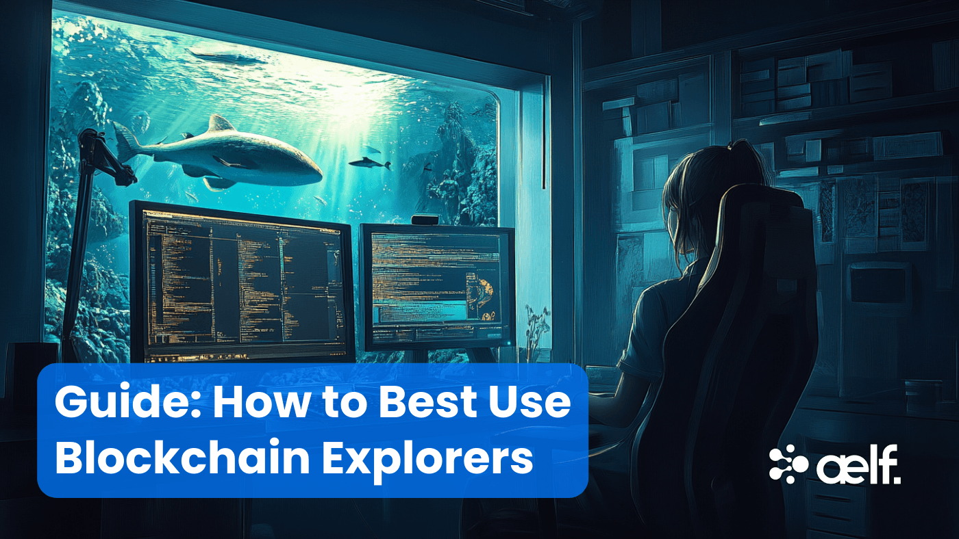 What Are Blockchain Explorers