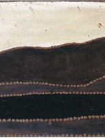 Thumb 2006 v01 i047 a012 i001
