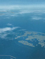 Thumb 2006 v01 i049 a016 i001