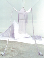 Thumb 2006 v01 i049 a024 i001