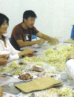 Thumb 2006 v01 i049 a031 i001