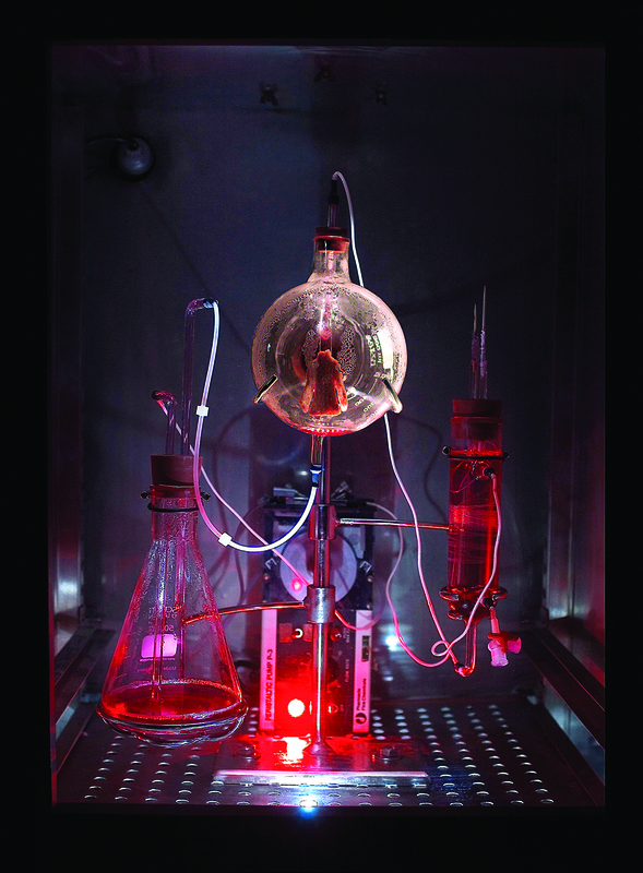 SymbioticA: The Art-Science Incubator