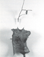 Thumb 1998 v01 i017 a024 i001
