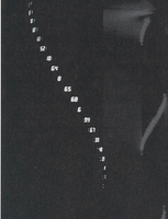 Thumb 1998 v01 i018 a019 i001