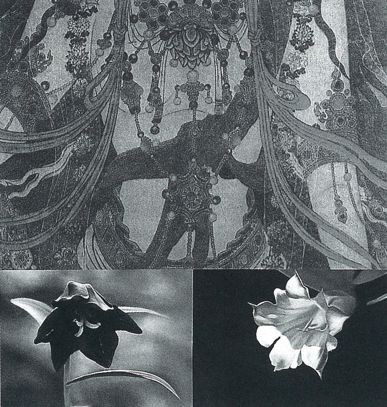 John Young: Sequences from Heaven