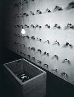 Thumb 1999 v01 i022 a022 i001