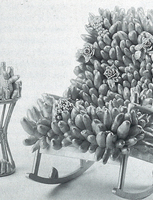 Thumb 1999 v01 i024 a020 i001
