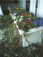 Thumb 2004 v01 i039 a009 i001