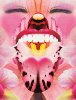 Thumb 2012 v1 i79 a007 i001