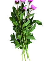 Thumb 2010 v1 i68 a004 i001