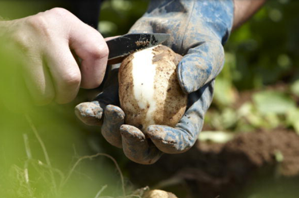 How Do We Control Our Quality - Thumbnail