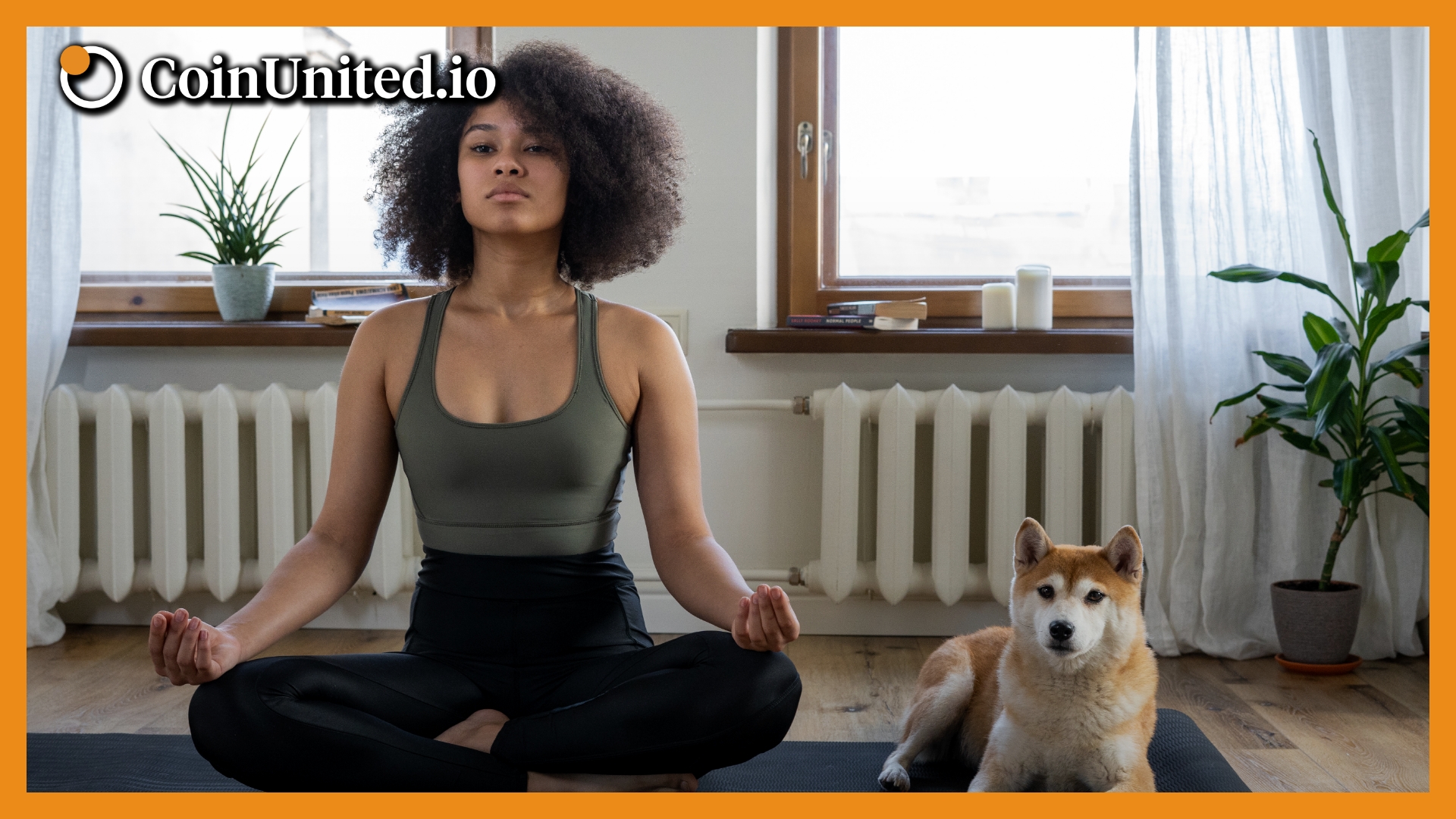 What Is Shiba Inu (SHIB) Coin A Basic Guide