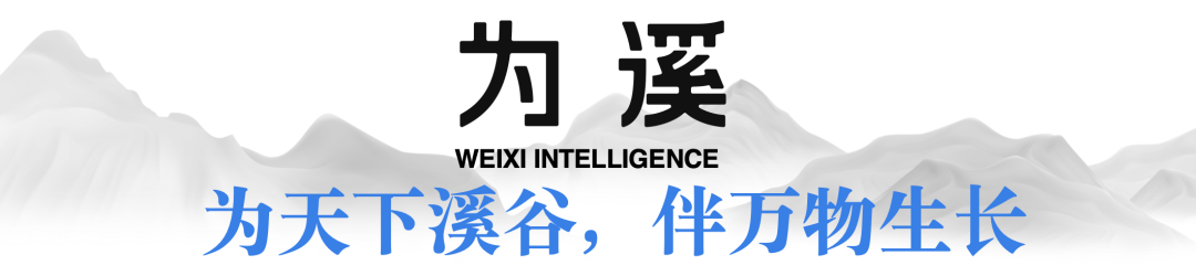 陈龙｜DeepSeek的中国式创新：新的AI经济学