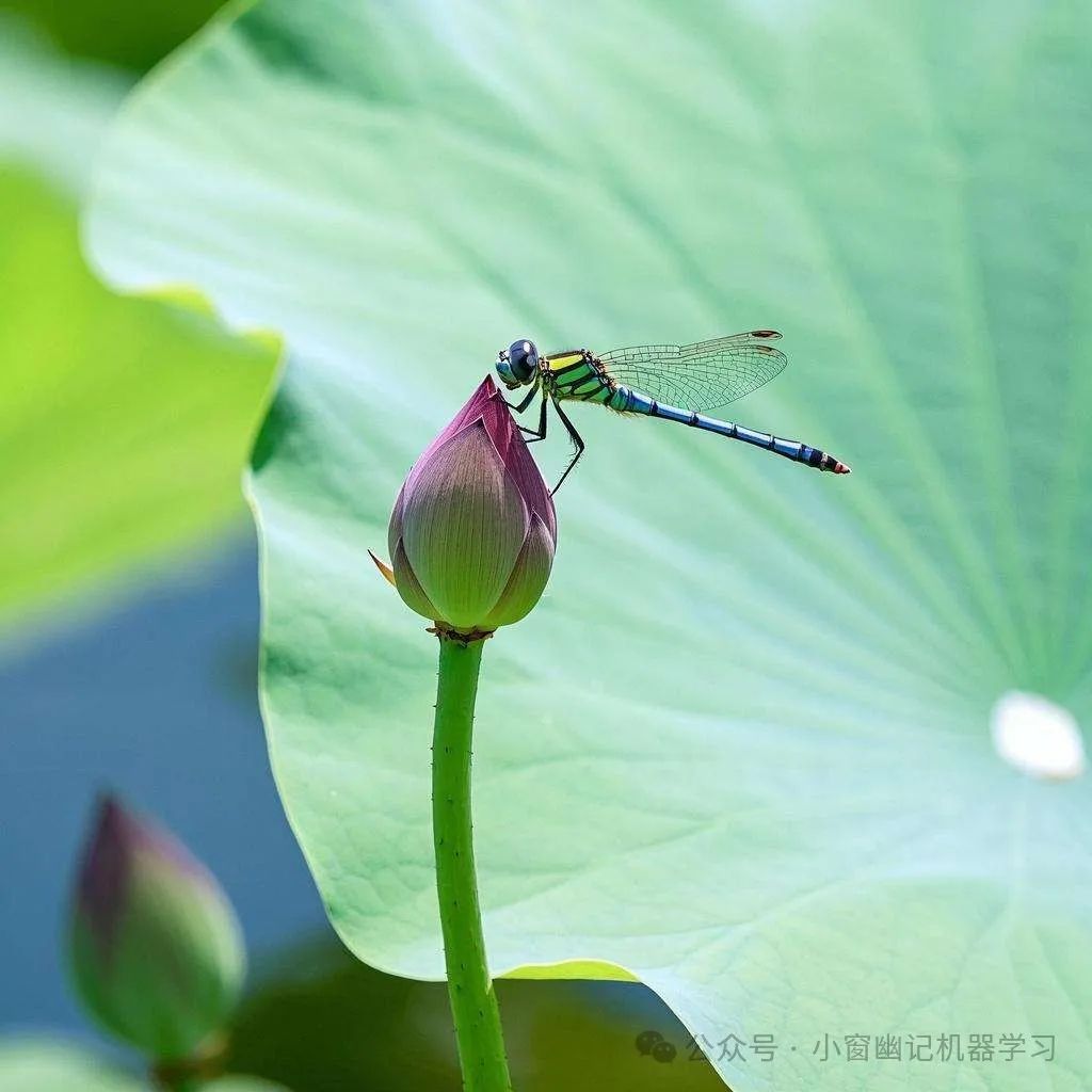 万字长文全面解读YOLO的前世今生:从 YOLO-v1 到 YOLO-v12