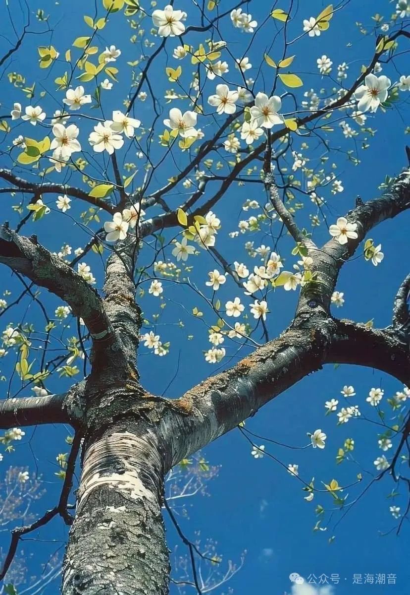 深入理解Reasoning LLMs