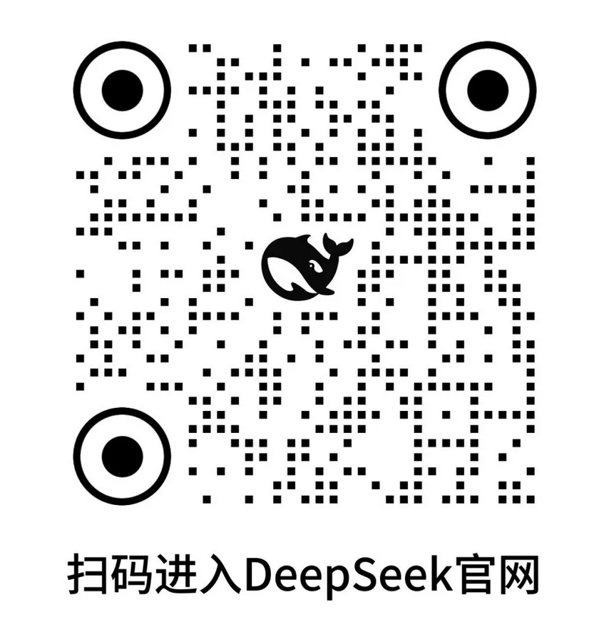 DeepSeek Coder 支持代码在线执行