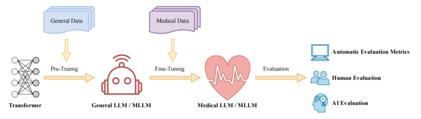 医学领域大型语言模型和多模态大型语言模型的综合研究