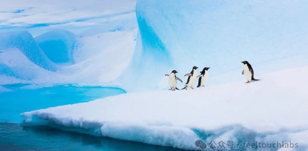 AI大模型之强化学习与监督学习