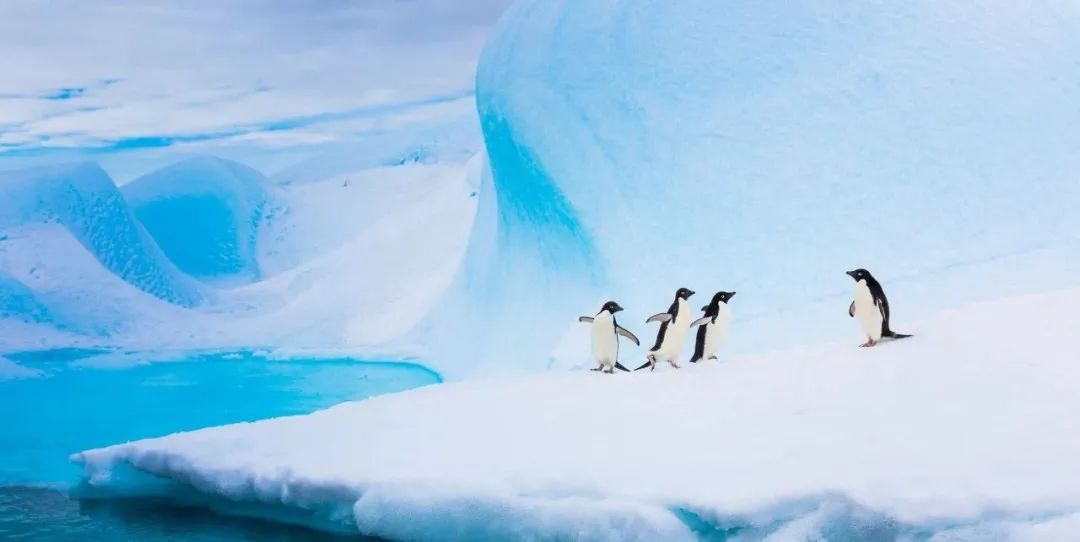 竟然不知道？还可以这样提升大语言模型的推理规划能力