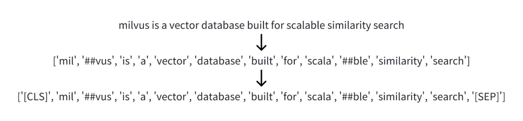 详解 BGE-M3 与 Splade 模型