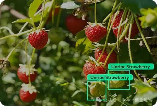 吴恩达最新发布Agent目标检测：Agentic Object Detection