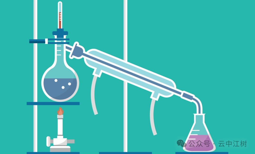 大模型&蒸馏是什么？