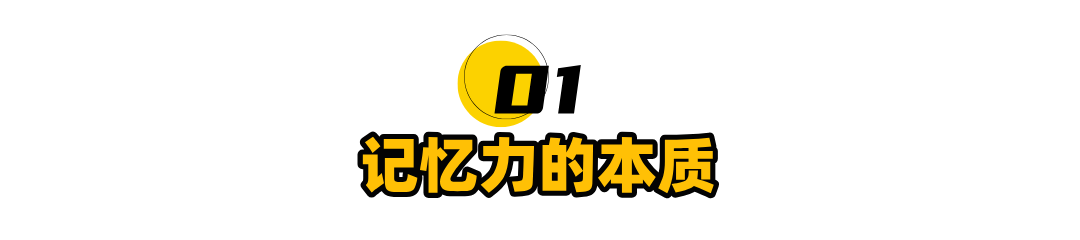 记忆力的本质就是注意力，AI框架带给我的启发，深刻解析记忆的神秘过程