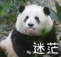 RAG 的饼，好像吃不下了。。。。