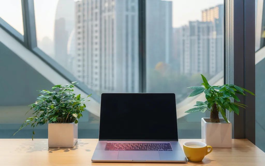 Agent 工程师绕不开的必修课:API 网关 vs API 管理