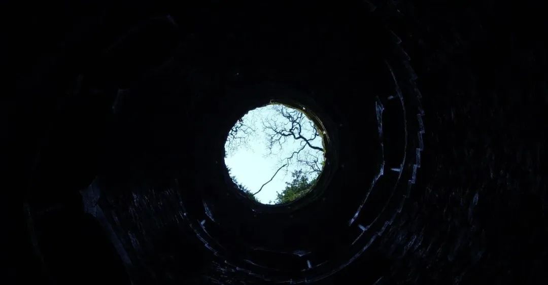 从黑箱到显微镜：大模型可解释性的现状与未来