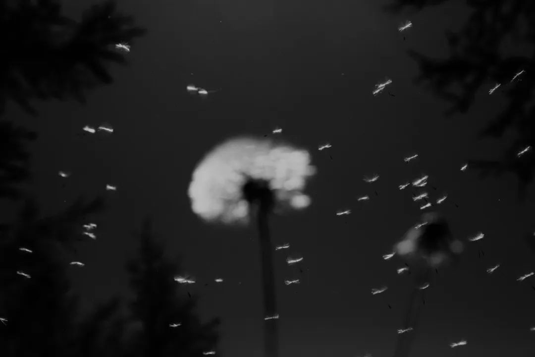 深度拆解:为什么通用 Agent 的下一站是 Agentic Browser?