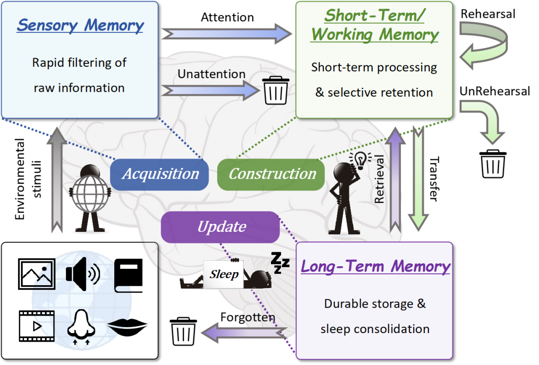 当AI学会遗忘：浙大团队用"睡眠机制"破解大模型记忆难题