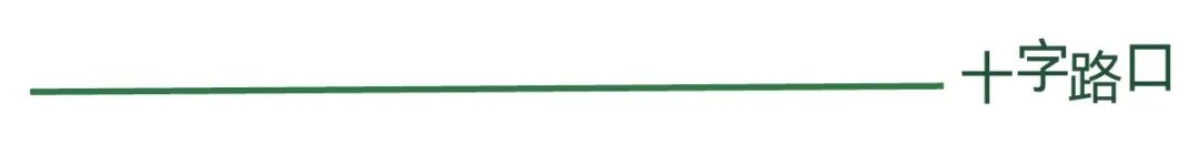 “Claude Cowork 杀死了我的创业公司”