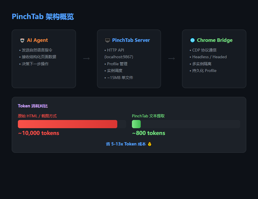 12MB的Go二进制，让AI操控浏览器只花800 tokens，PinchTab凭什么这么省？