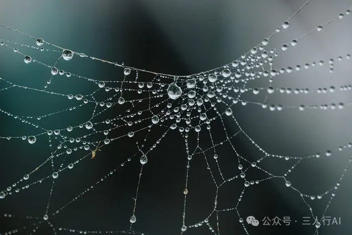 使用五种不同方法进行网页爬取：你需要知道的一切