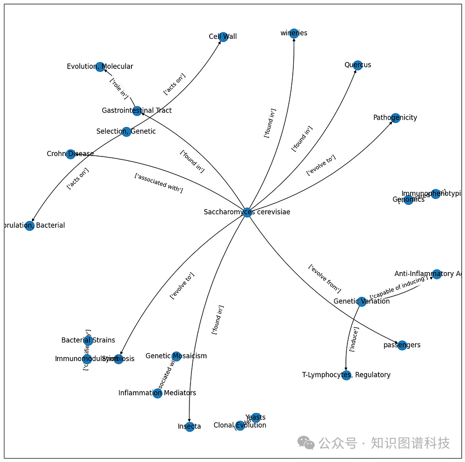 利用 GPT-4 从生物医学文本构建知识图谱