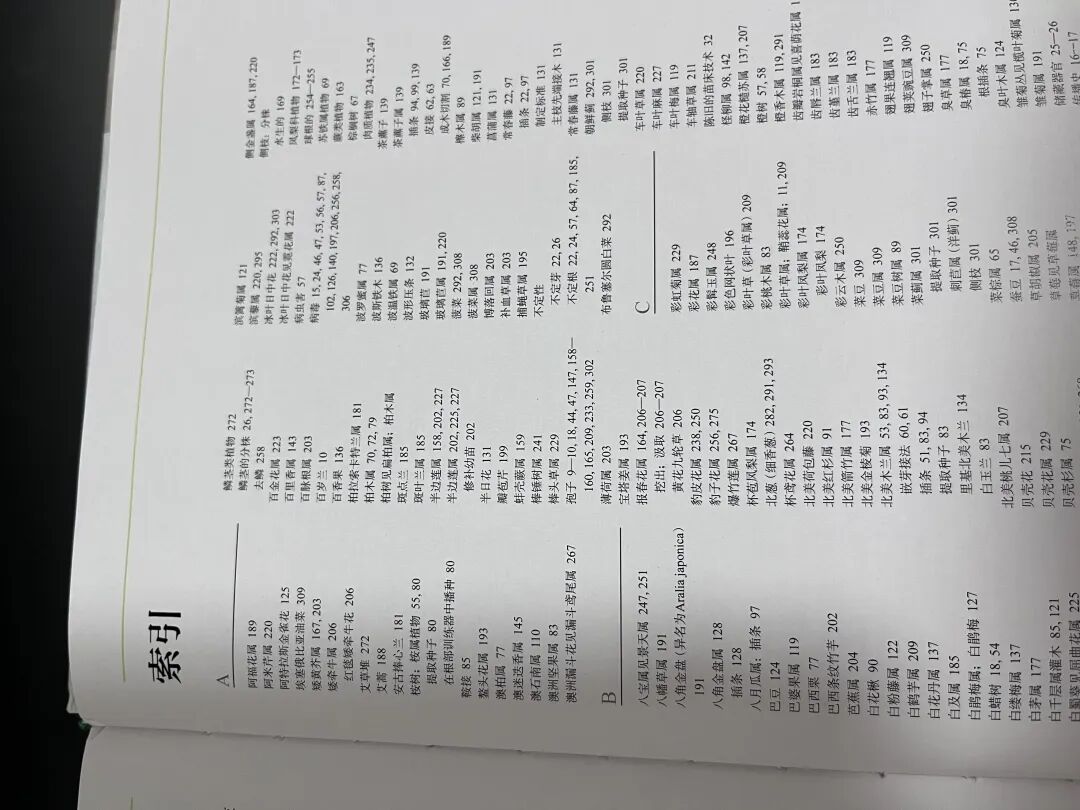 朋友圈装腔指南：如何用向量数据库把大白话变成古诗词