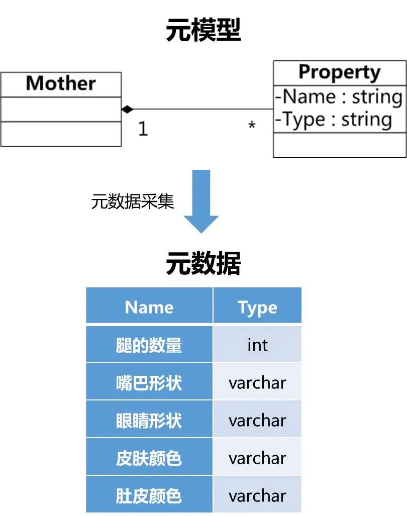 什么是元数据