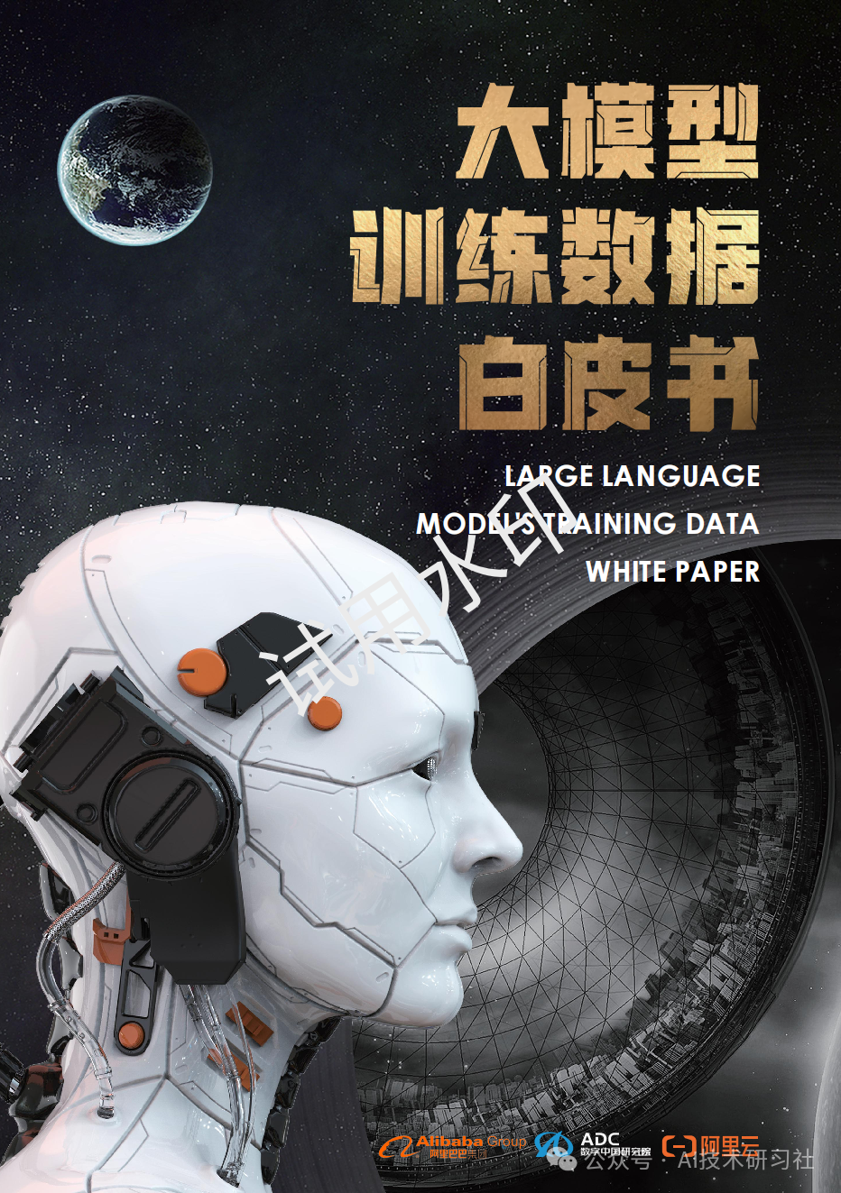 2024年：大模型训练数据白皮书