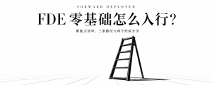 FDE 零基础怎么入行？附能力清单、三条路径与两个经验分享-AI智能王