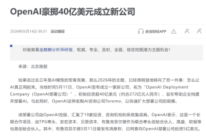 FDE是中国软件公司的集体临终幻想-AI智能王
