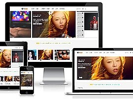 最新WordPress日主题RiPro6.2破解版 免授权修复版-查尔斯资源库