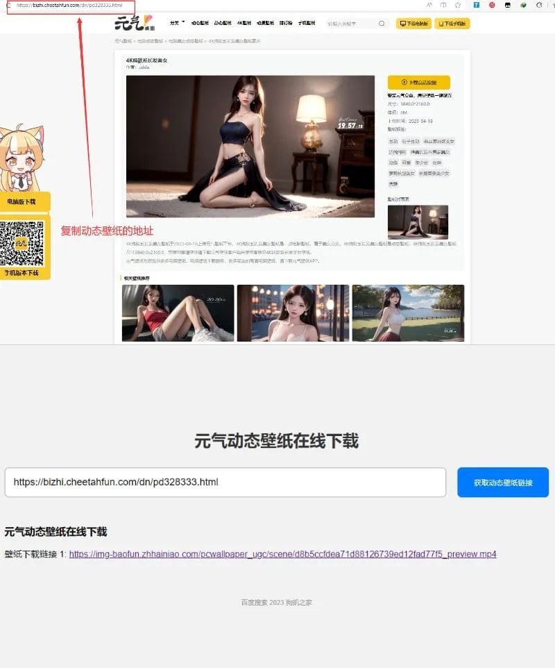 元气动态壁纸在线下载源码-查尔斯资源库